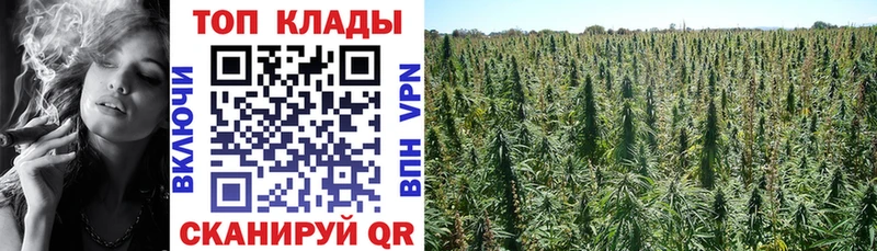 Купить наркотики цена Дмитриев Кокаин  Бошки Шишки  A PVP  ГАШИШ  Псилоцибиновые грибы  Меф мяу мяу 