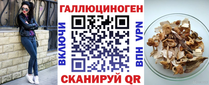 Псилоцибиновые грибы GOLDEN TEACHER  купить наркотик  mega ссылка  Дмитриев 